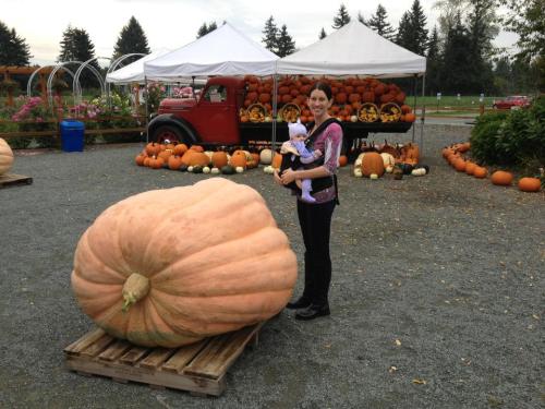 2014 Giant Pumpkin
