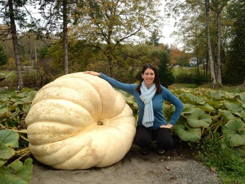 2013 Giant Pumpkin