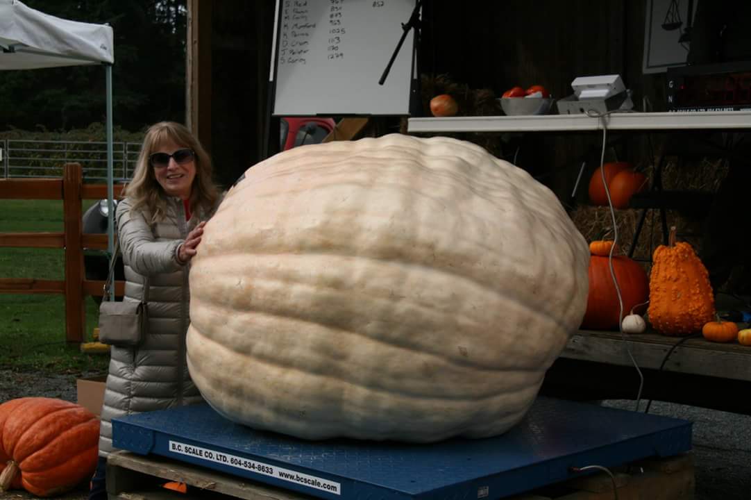 FB_IMG_1524872774313